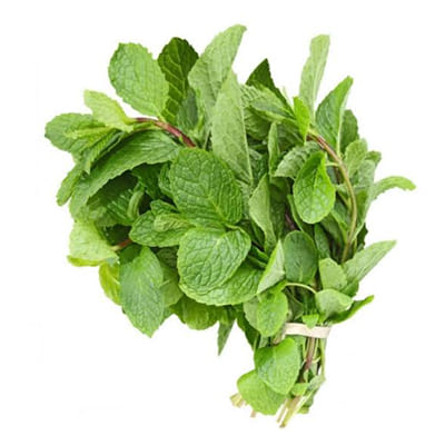 Mint Leaves (Pudina)