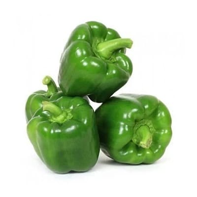 Capsicum (Green)