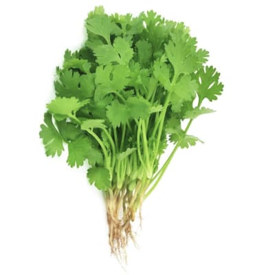 Coriander Leaves (Dhania)